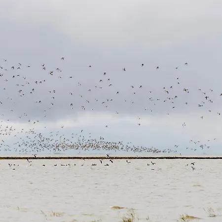 アパート Penthouse De Luenk *