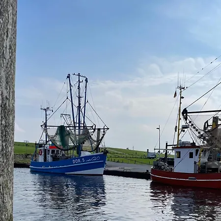 شقة Penthouse De Luenk دورم نيوفيلد