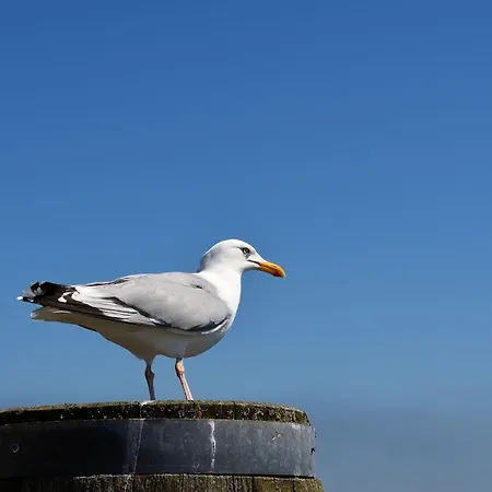 Penthouse De Luenk * ドルム・ノイフェルト