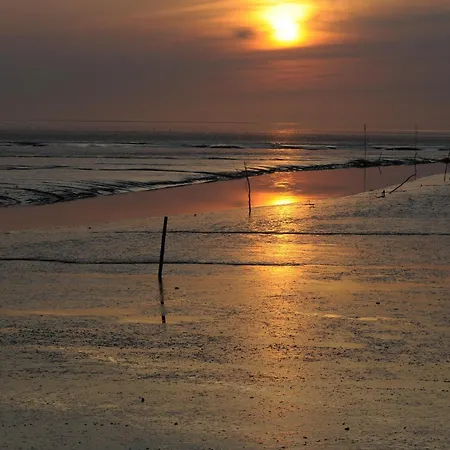 Penthouse De Luenk アパート ドルム・ノイフェルト