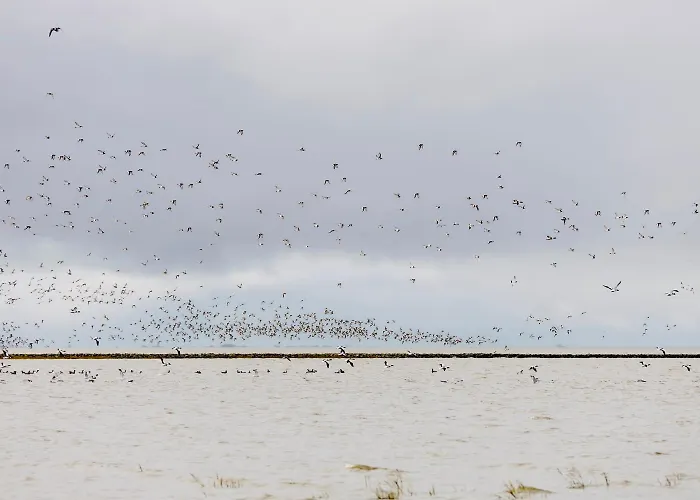 شقة Penthouse De Luenk *