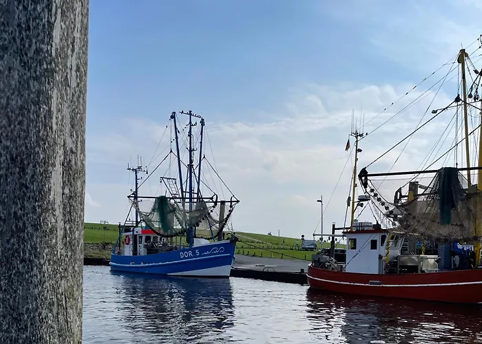 شقة Penthouse De Luenk دورم نيوفيلد