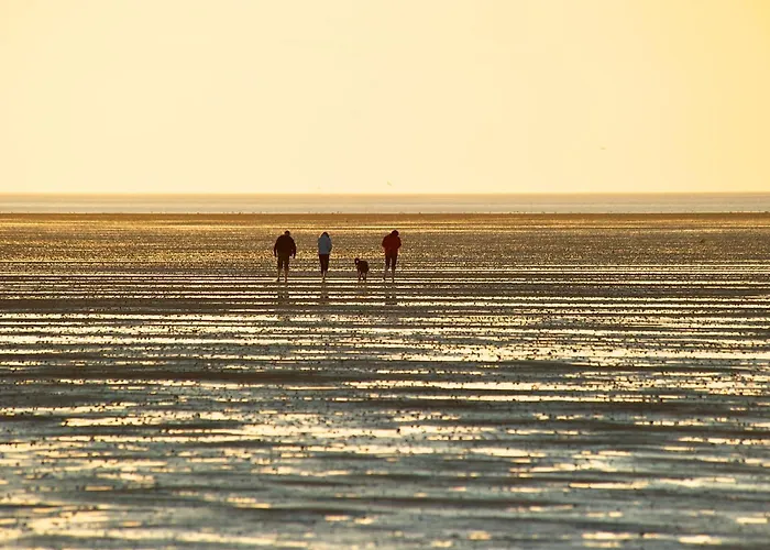 Penthouse De Luenk شقة *